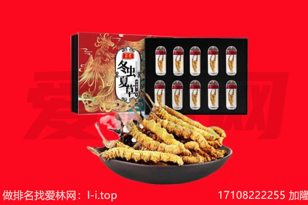 二道江区回收虫草.jpg